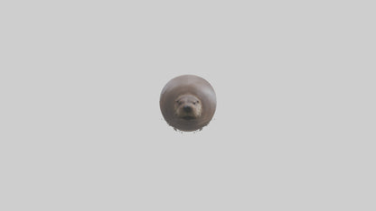 Otter Nose VR / AR / low-poly