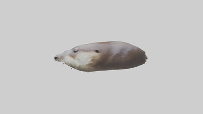 Otter Nose VR / AR / low-poly