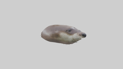 Otter Nose VR / AR / low-poly