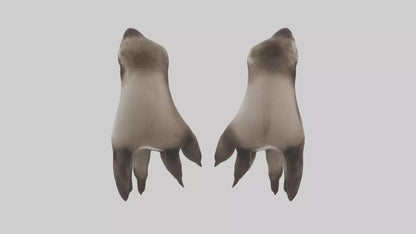 3D model Otter Paws VR / AR / low-poly