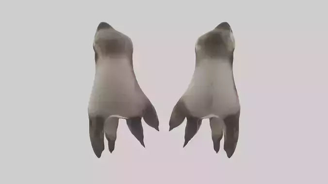 3D model Otter Paws VR / AR / low-poly
