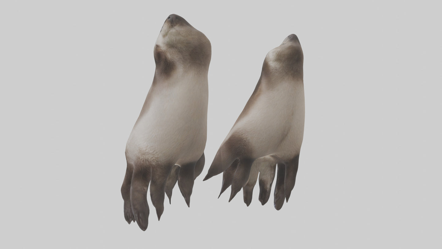 3D model Otter Paws VR / AR / low-poly