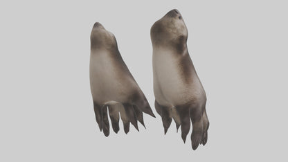3D model Otter Paws VR / AR / low-poly