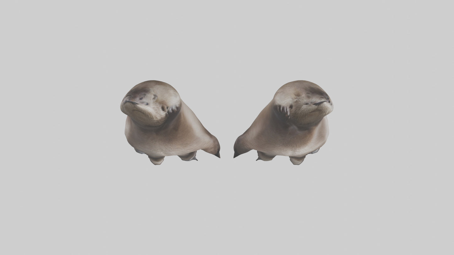 3D model Otter Paws VR / AR / low-poly