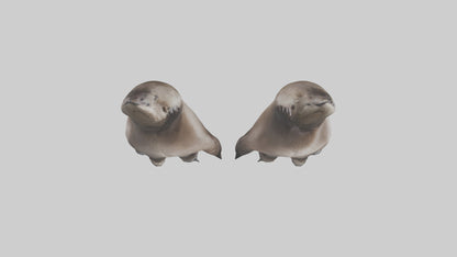 3D model Otter Paws VR / AR / low-poly
