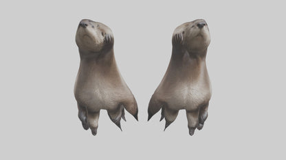 3D model Otter Paws VR / AR / low-poly