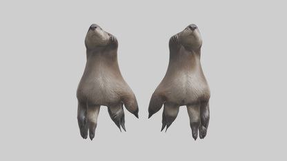 3D model Otter Paws VR / AR / low-poly