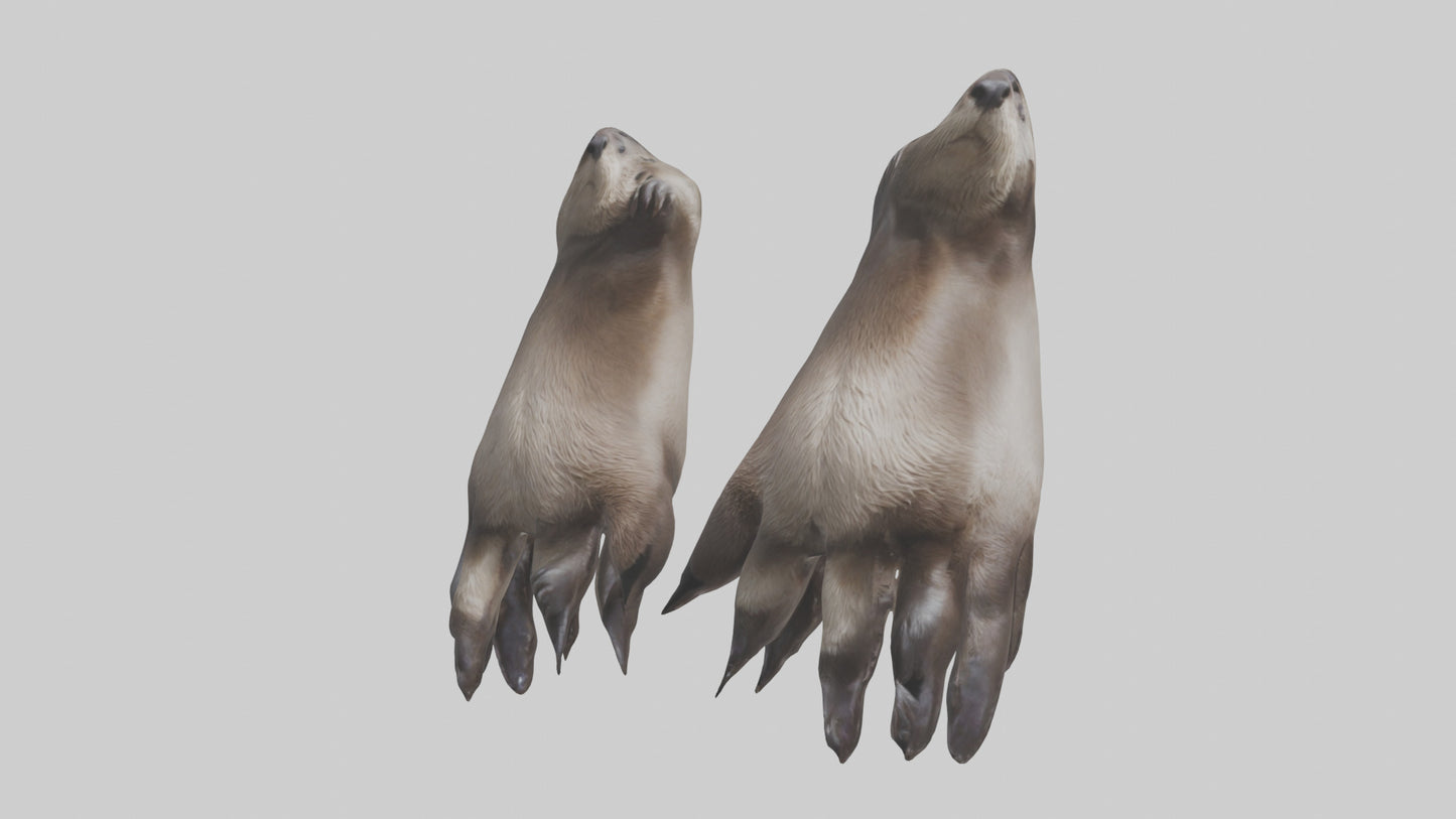 3D model Otter Paws VR / AR / low-poly