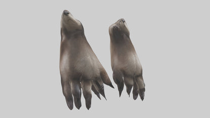 3D model Otter Paws VR / AR / low-poly