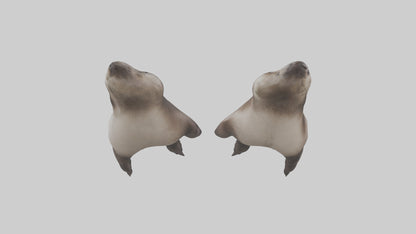 3D model Otter Paws VR / AR / low-poly