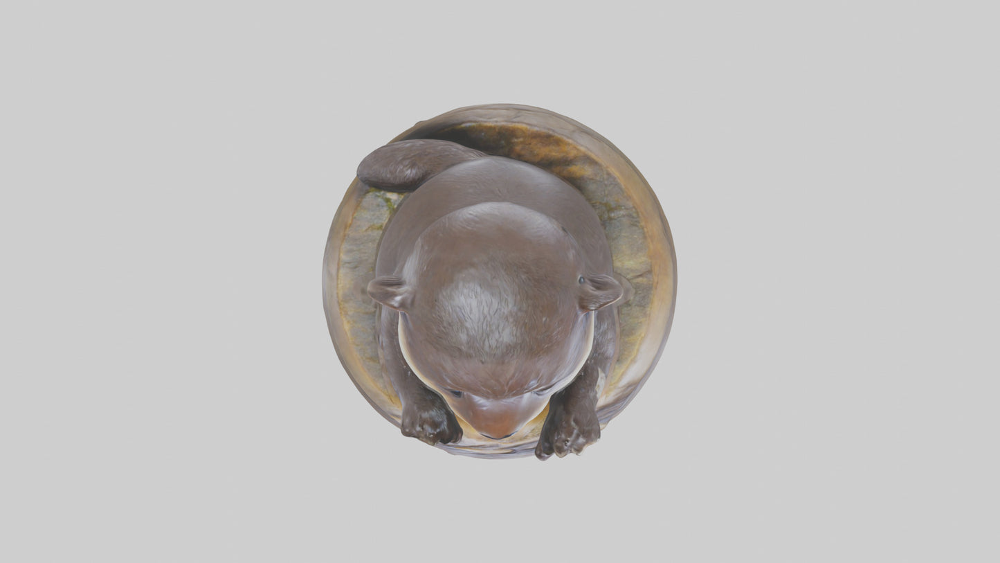 Otter Pup statue model 3D model
