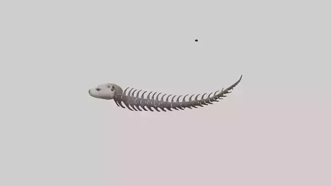 3D model Otter Spine VR / AR / low-poly