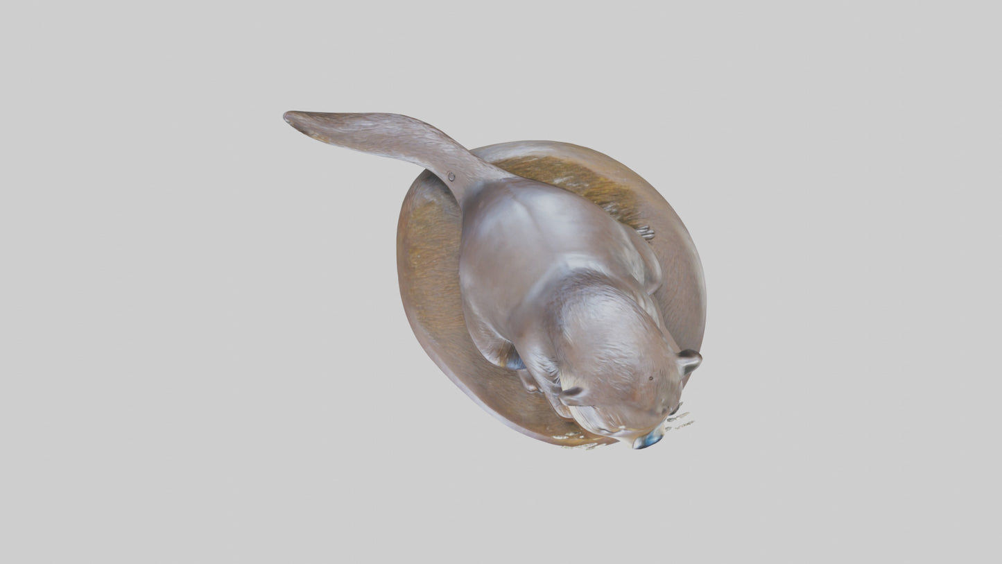 Otter statue model 3D model