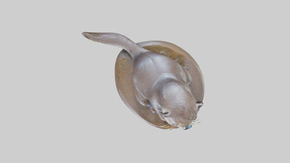 Otter statue model 3D model