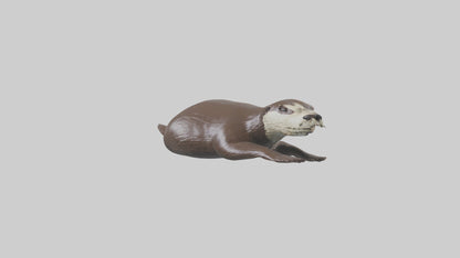 Otter swimming model VR / AR / low-poly