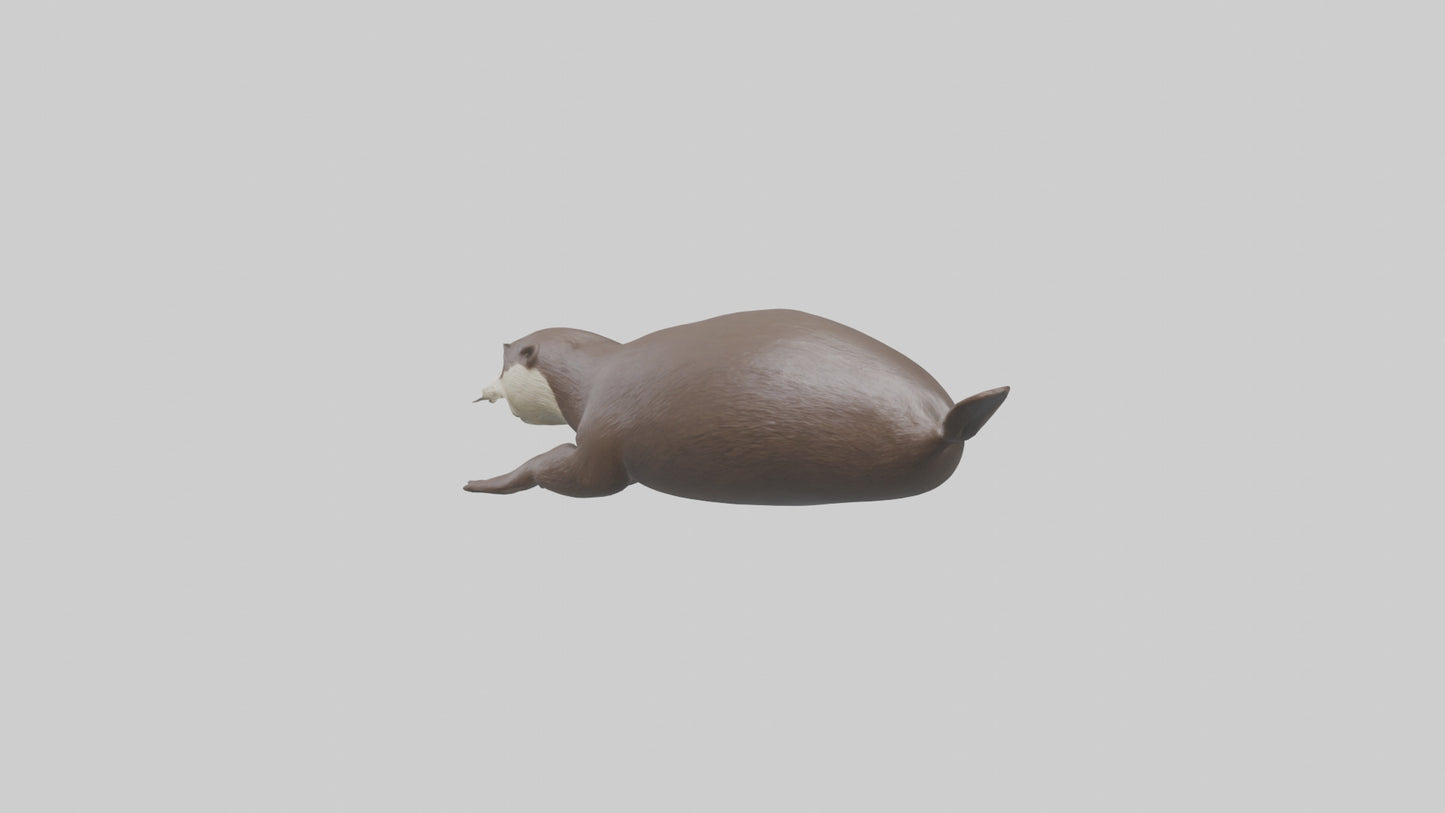 Otter swimming model VR / AR / low-poly