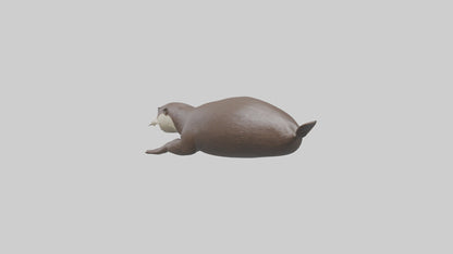 Otter swimming model VR / AR / low-poly