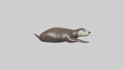 Otter swimming model VR / AR / low-poly