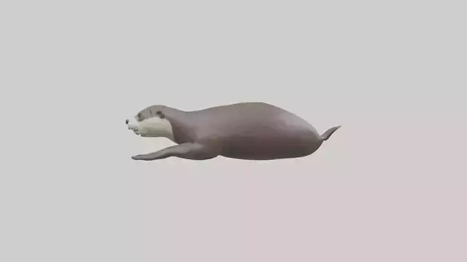 Otter swimming model VR / AR / low-poly