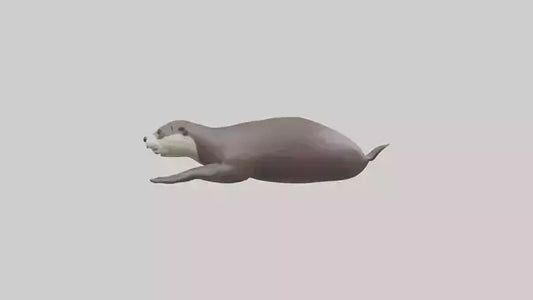 Otter swimming model VR / AR / low-poly