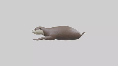 Otter swimming model VR / AR / low-poly