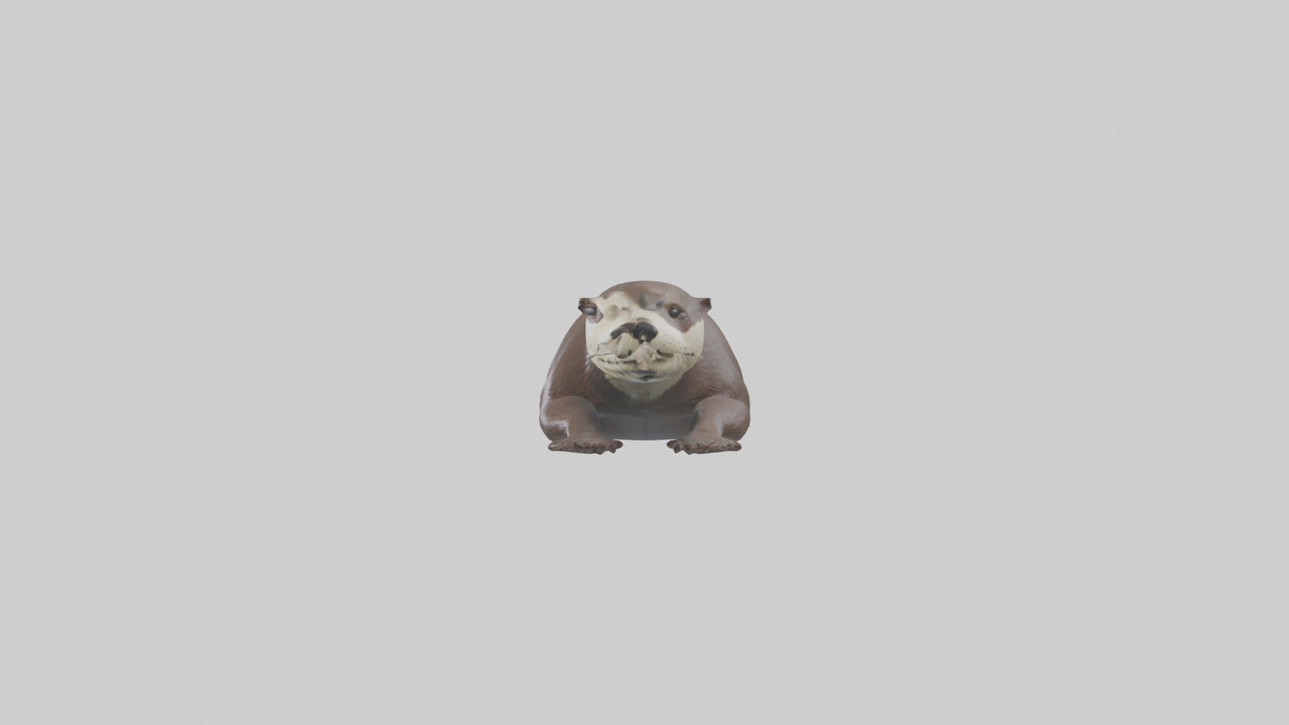 Otter swimming model VR / AR / low-poly