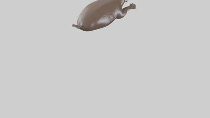 Otter swimming model VR / AR / low-poly