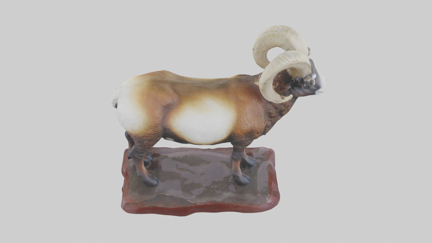 3D model ouflon Sheep statue model 2 VR / AR / low-poly