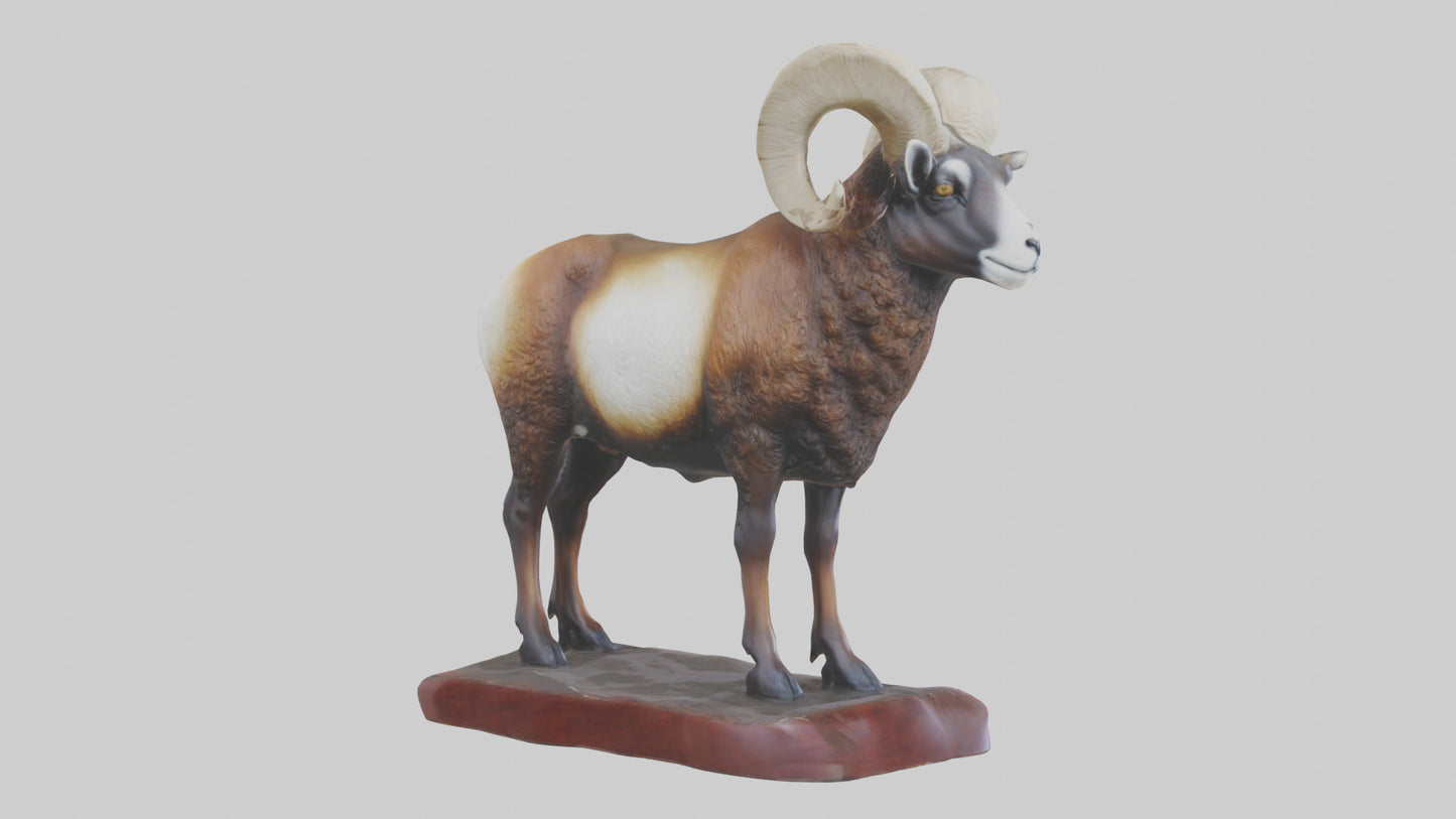 3D model ouflon Sheep statue model 2 VR / AR / low-poly