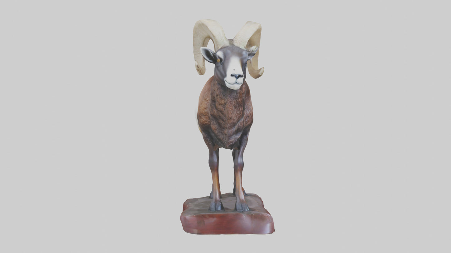 3D model ouflon Sheep statue model 2 VR / AR / low-poly