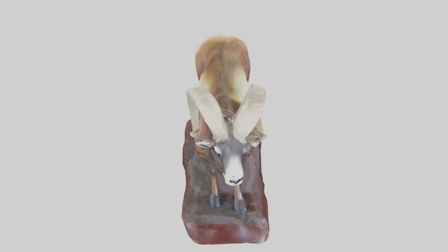 3D model ouflon Sheep statue model 2 VR / AR / low-poly
