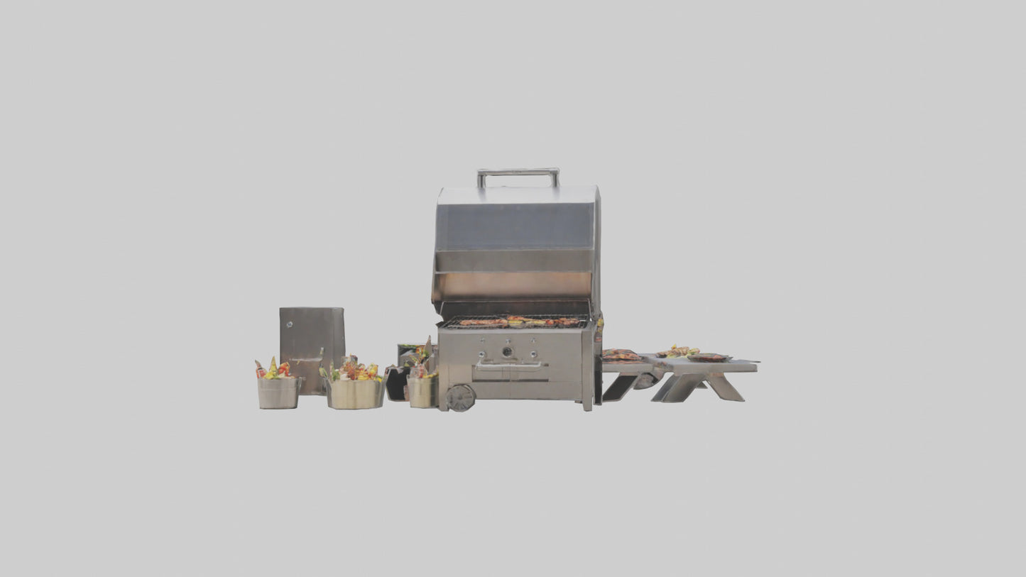 Outdoor Barbecue Party model 3D model