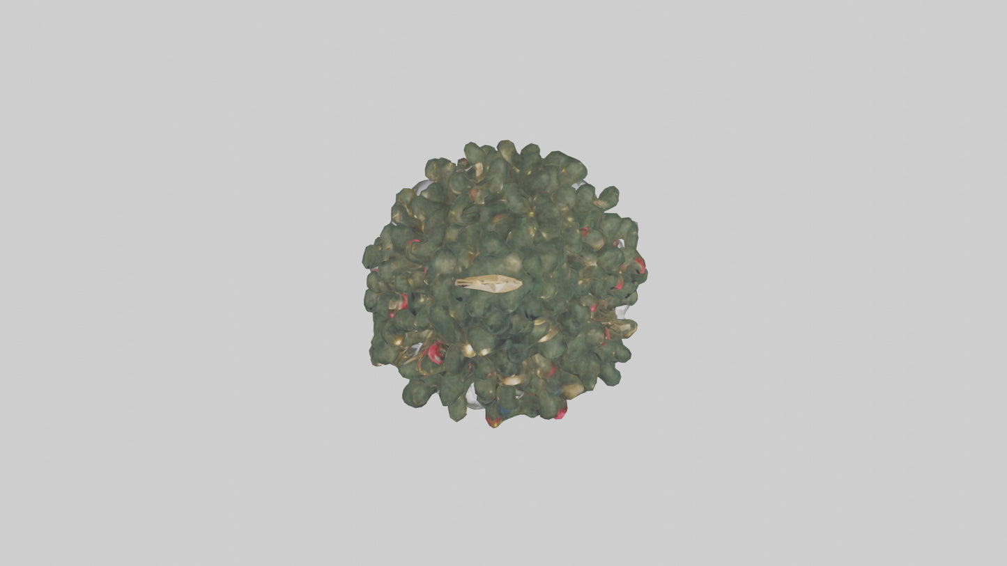 Outdoor Christmas Tree model 3D model