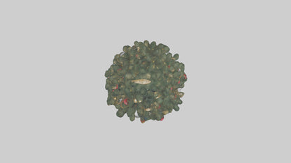 Outdoor Christmas Tree model 3D model