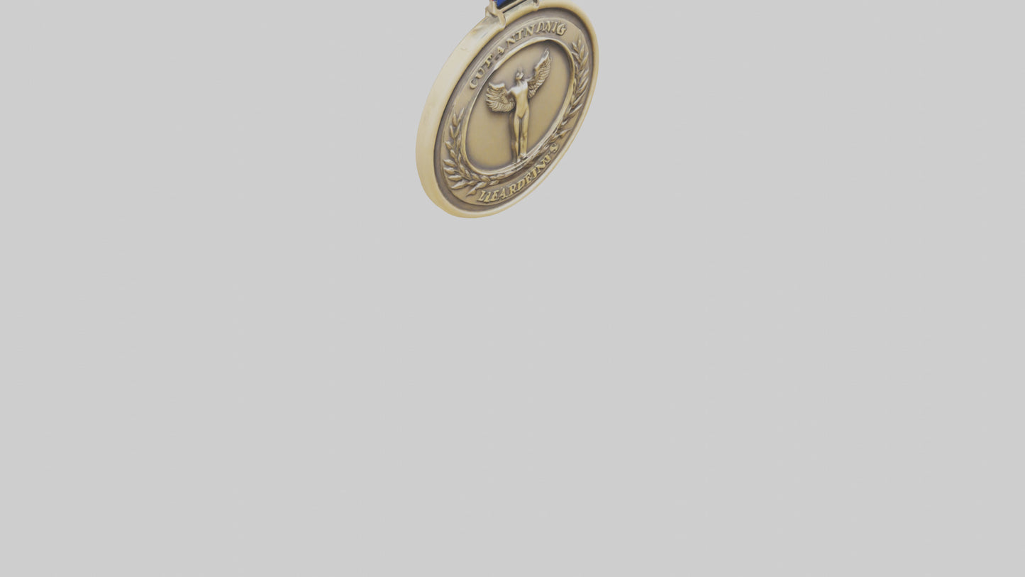 Outstanding Leadership Medal model 3D model