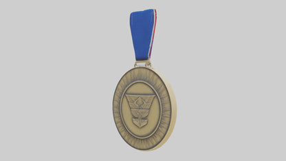 Outstanding Leadership Medal model 3D model