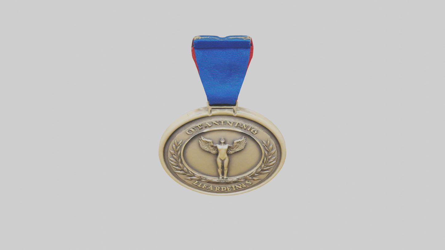 Outstanding Leadership Medal model 3D model