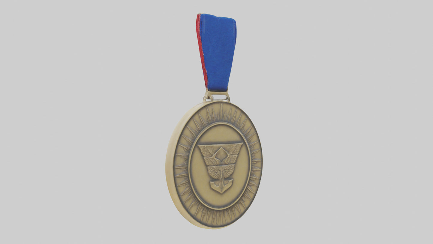 Outstanding Leadership Medal model 3D model