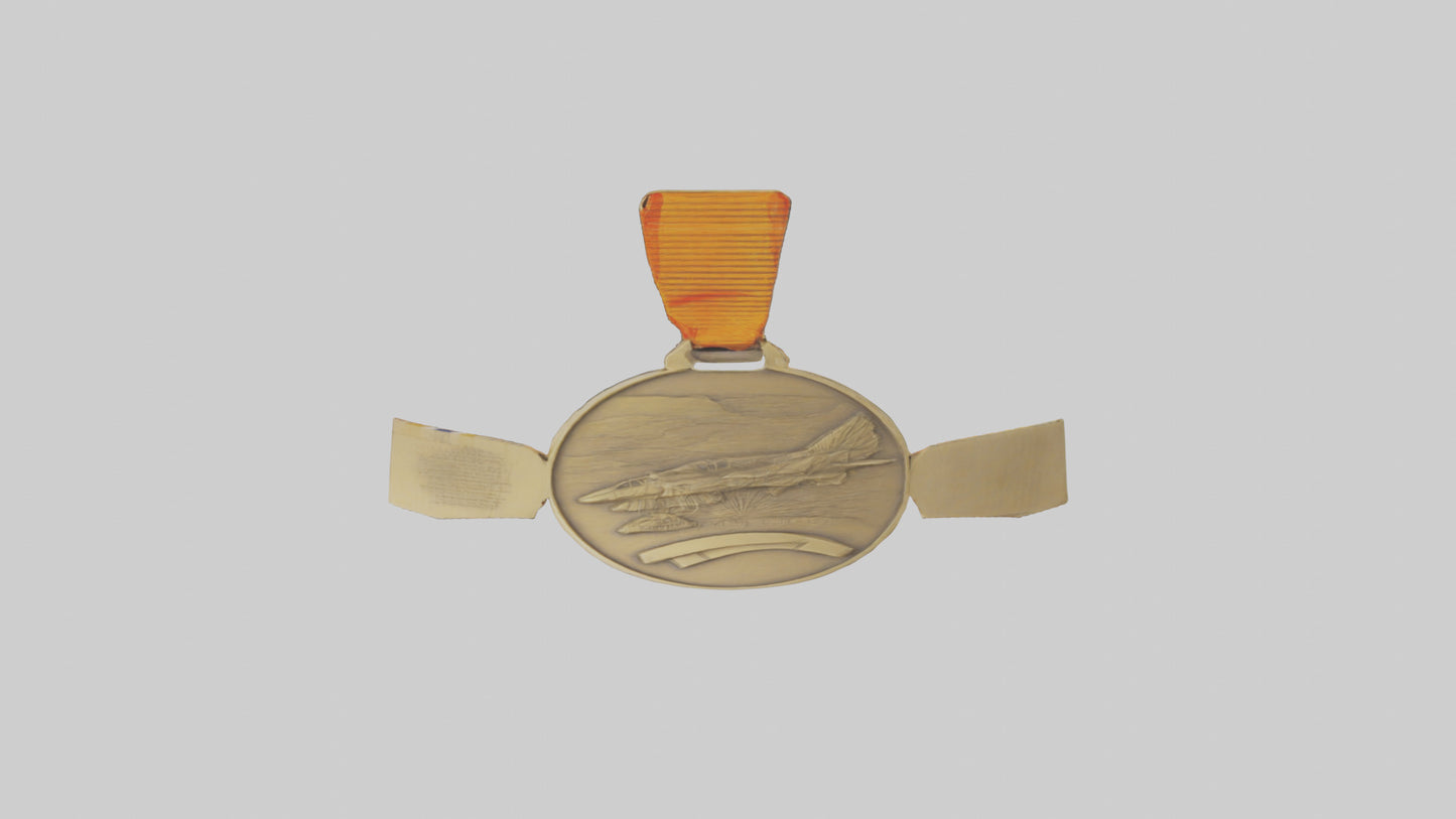 Outstanding Volunteer Medal model 3D model