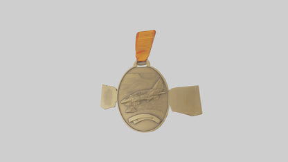 Outstanding Volunteer Medal model 3D model
