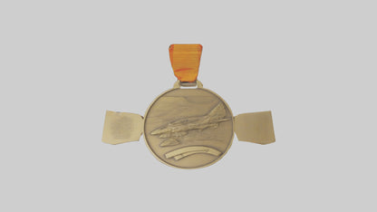 Outstanding Volunteer Medal model 3D model