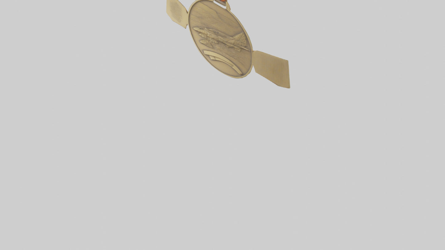 Outstanding Volunteer Medal model 3D model