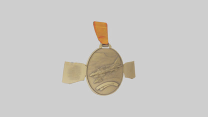 Outstanding Volunteer Medal model 3D model