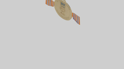 Outstanding Volunteer Medal model 3D model