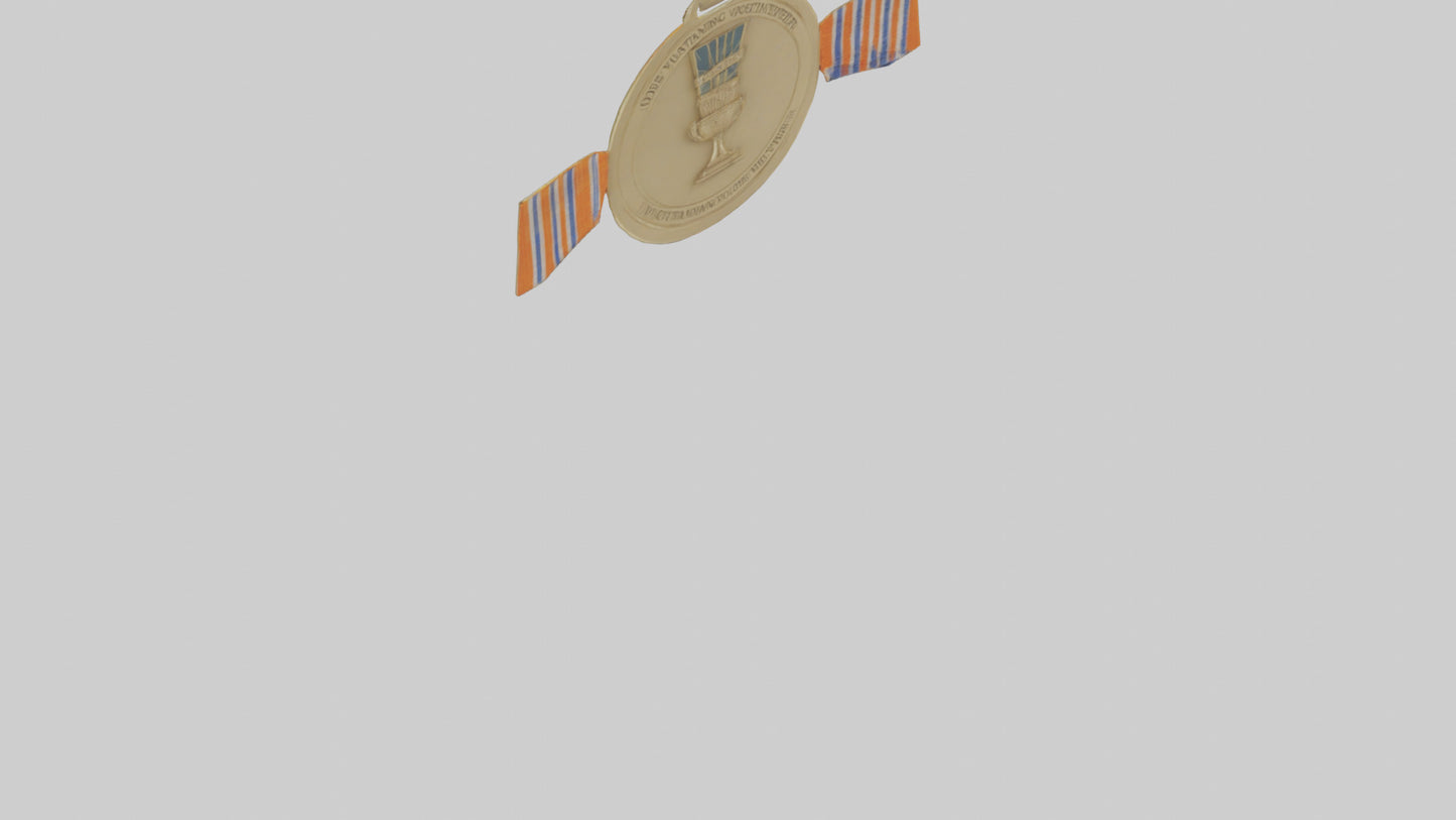 Outstanding Volunteer Medal model 3D model