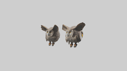 3D model Owl Eyes Model VR / AR / low-poly