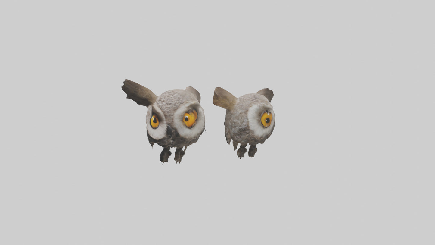 3D model Owl Eyes Model VR / AR / low-poly