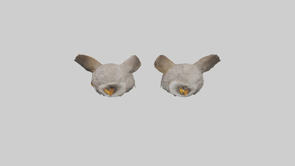 3D model Owl Eyes Model VR / AR / low-poly