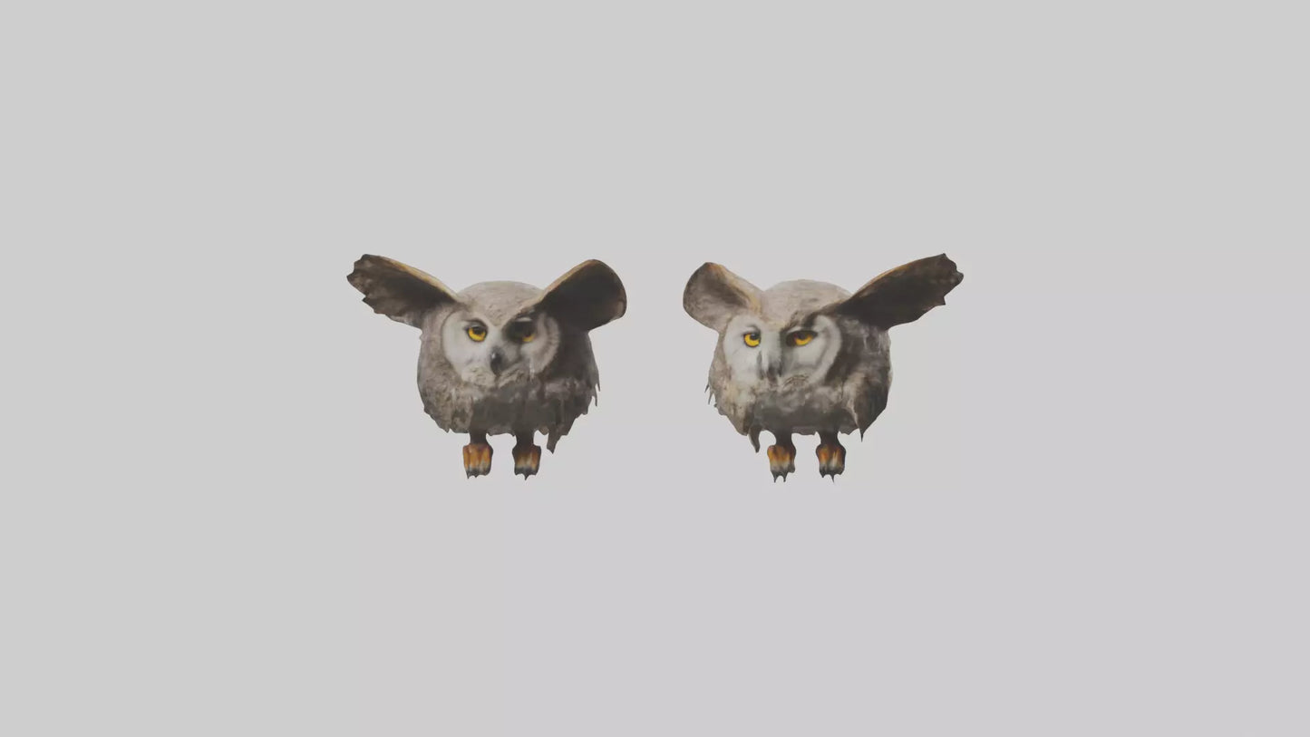 3D model Owl Eyes Model VR / AR / low-poly