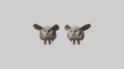 3D model Owl Eyes Model VR / AR / low-poly